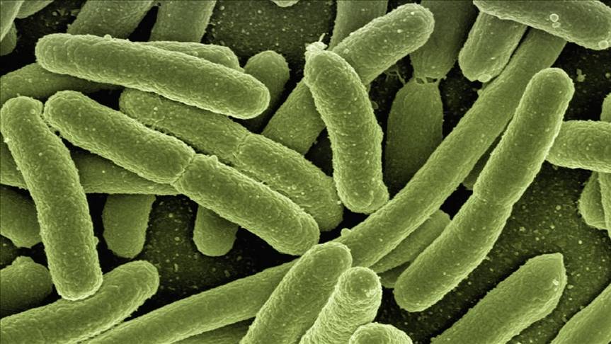 Covid’in yeni yüzü: Nimbus ve Stratus varyantları ne kadar bulaşıcı? 1